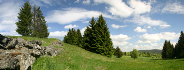 CHKO Slavkovský les